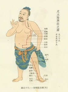 Spleen and stomach, Earth element